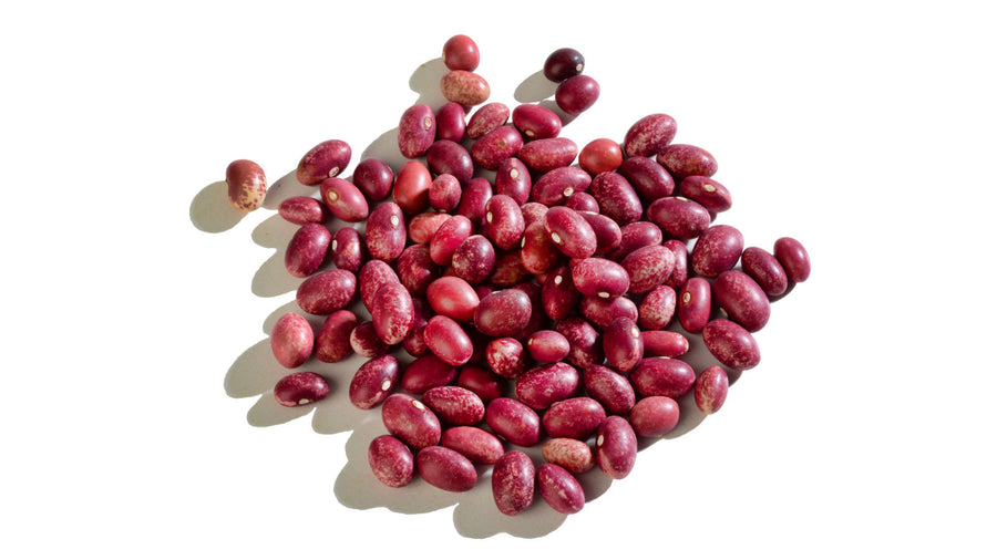 Mottled Red Nuna Beans - 600 Grams Jar