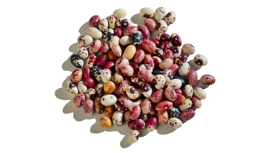 Multicolour Medley Nuna Beans - 600 Grams Jar